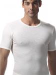 Ragno, Men's Round Neck T-Shirt Merino's Wool