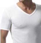 Ragno Short Sleeve T-Shirt V Neck-Blended Wool & Cotton